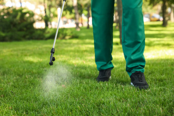 Best Wasp Removal Services  in Obion, TN