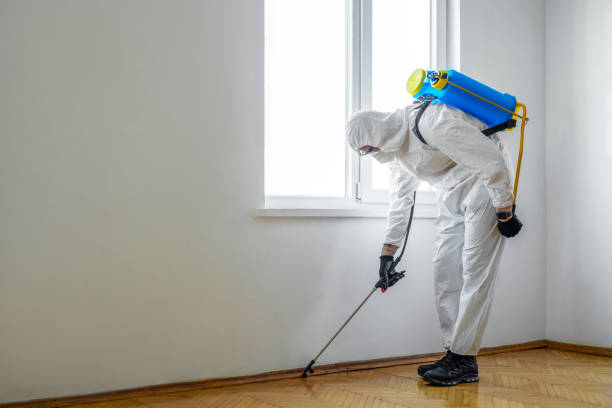 Best Pest Control Treatment  in Obion, TN