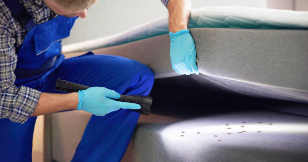Best Pest Removal Services  in Obion, TN